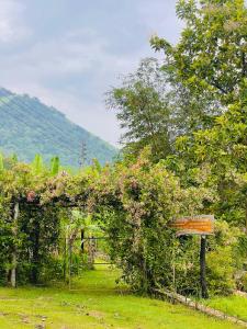 a garden with a pergola with flowers and a sign at Cottage Wild Boar in Udawalawe