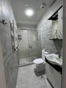 a bathroom with a shower and a toilet and a sink at Ideal home in Minda