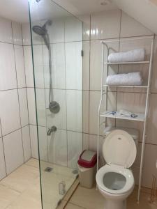 a bathroom with a shower with a toilet and a glass door at Hotel HILLMON in Sosúa +27 photos
