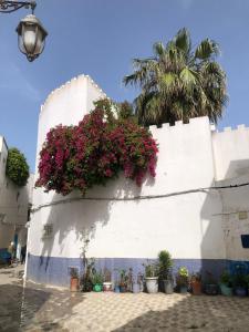 a white wall with a flower box on it at Casa youssef 2 in Asilah