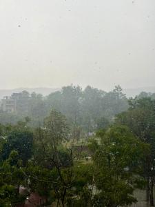 a view of a field with trees in the rain at Petal & Peak Stays in Rājpur