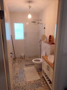 a bathroom with a toilet and a sink at SnirBen zvi in Kibbutz Snir