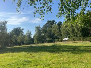 a grassy field with people in a park at Woodlands camping in Greatham