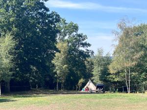 a truck parked next to a tent in a field at Woodlands camping in Greatham