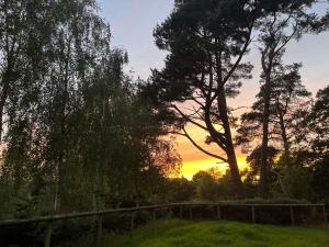 a sunset over a field with trees and a fence at Woodlands camping in Greatham