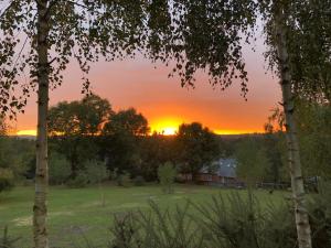 a sunset over a field with a house in the background at Woodlands camping in Greatham