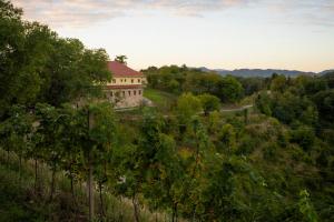 a house on top of a hill with trees at Villa Kasimir in Videm pri Ptuju