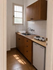 a kitchen with a sink and a dishwasher at Araliki Apartments & Studios in Loutra Edipsou