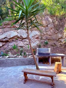 a bench and a palm tree next to a table at Appartamento elba da Susanna in Portoferraio