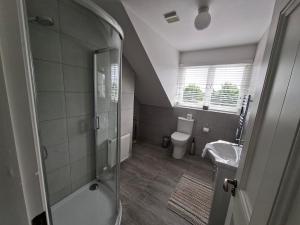 a bathroom with a shower and a toilet and a sink at White Quarry Hse Quarry Road in Navan
