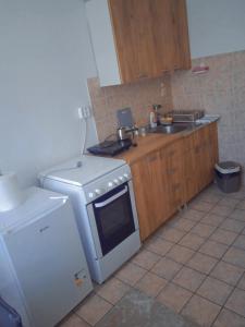 a kitchen with a white stove and a sink at APARTMAN MINnA in Kuršumlija