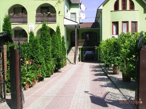 Zahrada ubytování Hotel Alfa