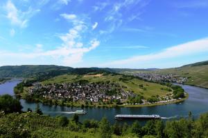 eine kleine Stadt auf einem Hügel neben einem Fluss in der Unterkunft Landgasthaus am Ufer in Traben-Trarbach