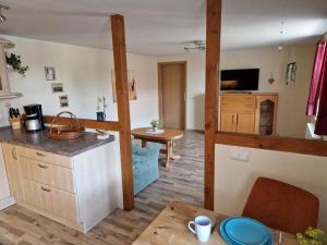 a kitchen and living room with a counter and a table at Ferienwohnung am Chemnitztalradweg in Taura