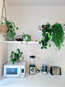 a kitchen counter with a microwave and some plants at Rooms Hana Rovinj in Rovinj +11 photos