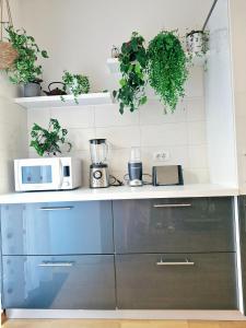 a kitchen with a counter with plants on it at Rooms Hana Rovinj in Rovinj