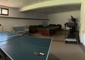 a living room with a ping pong table in it at Rotonde View in Predeal