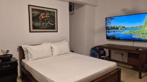 a bedroom with a bed and a flat screen tv at 2 Bed Apartment in Colombo 3 in Colombo