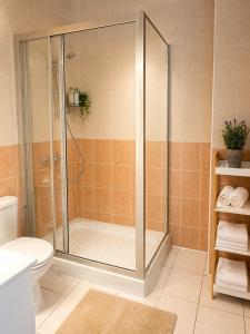 a bathroom with a shower and a toilet at Athena Apartment in Polis Chrysochous