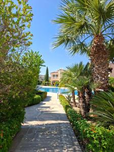 a pathway with palm trees and a swimming pool at Athena Apartment in Polis Chrysochous