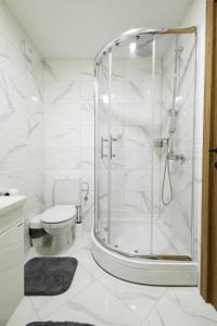 a white bathroom with a shower and a toilet at Dana in Požarevac +12 photos