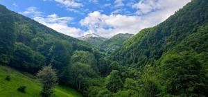 a view of a valley in a mountain range at Le portillon des fées in Sost