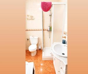 a bathroom with a toilet and a sink at La Pizpireta in Cazorla +16 photos