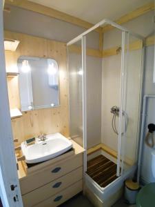 a bathroom with a sink and a shower at Profitez de la vue in Ustou