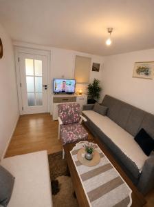 a living room with a couch and a tv at Cottage near Ostrog in Gornja Povija