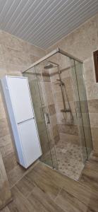 a shower with a glass enclosure in a bathroom at Lodge Ti Bonheur in Sainte-Anne