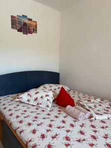 a bed with two red pillows on top of it at Casa Iulia in Eşelniţa