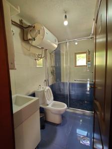 a bathroom with a toilet and a shower and a sink at Guest House Trojani in Lëpushë