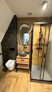 a bathroom with a sink and a shower and a toilet at Dom przy Wangu Karpacz in Karpacz +14 photos