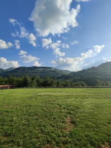 a large green field with mountains in the background at Guest House Trojani in Lëpushë +7 photos