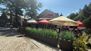 a market with umbrellas on a street with plants at Dom przy Wangu Karpacz in Karpacz