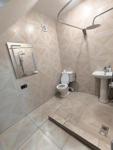 a bathroom with a shower and a toilet and a sink at Ashtarak home in Ashtarak