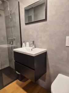 ein Badezimmer mit Waschbecken und Dusche in der Unterkunft De Brummelstee in Beilen