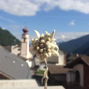 a white flower sitting on top of a building at Zangerlehof in Slingia