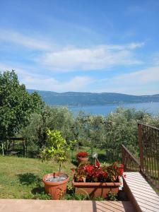 two potted plants on a deck with a view of the water at Dolce Luna in Gargnano