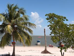 two palm trees on a beach with boats in the water at casa sol in Bragança