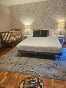 a bedroom with a bed and a rug at Muralha da Barca Apartamentos -Fique no centro do Porto junto a ponte D-Luis IRNAL nº13939 Al,5848 Al, 6419 AL-Chamada para a rede móvel nacional in Porto