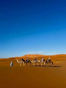 a group of people riding horses in the desert at Bivouac Camel Trips in Merzouga