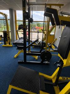 a gym with rows of tread machines and a simulator at Apartmani Stevanović in Zvornik