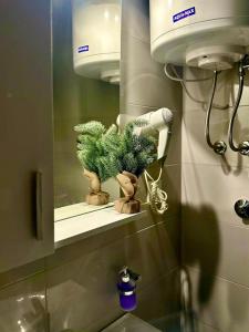 a bathroom mirror with a sink and a plant at Apartmani Stevanović in Zvornik +22 photos