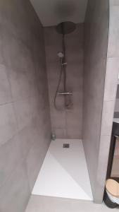 a bathroom with a shower with a toilet at Gîte Le Fenil in Allondrelle-la-Malmaison