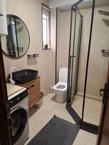 a bathroom with a shower and a toilet and a sink at Nesi apartmenti in Prishtinë