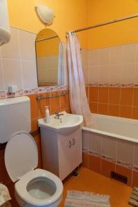 a bathroom with a toilet and a sink and a mirror at Golyafeszek Vendeghaz in Sîncraiu +8 photos