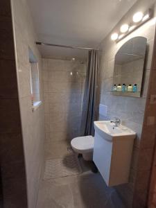 a bathroom with a toilet and a sink and a shower at Lind Guest House in Haapsalu