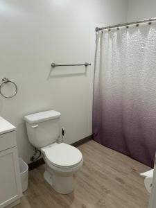 a white bathroom with a toilet and a shower at Pond Studio Apartments in Seward