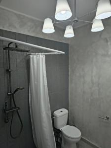 a bathroom with a white toilet and a shower at Casa Happy in 2 Mai +61 photos